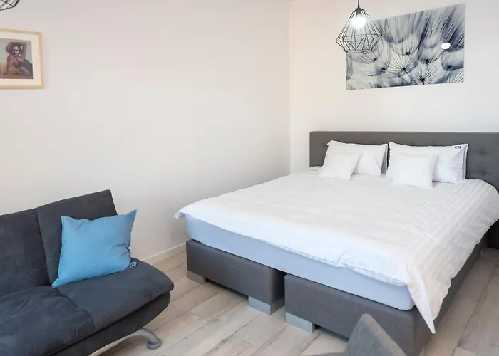 Provenir Home Strzelecka 25